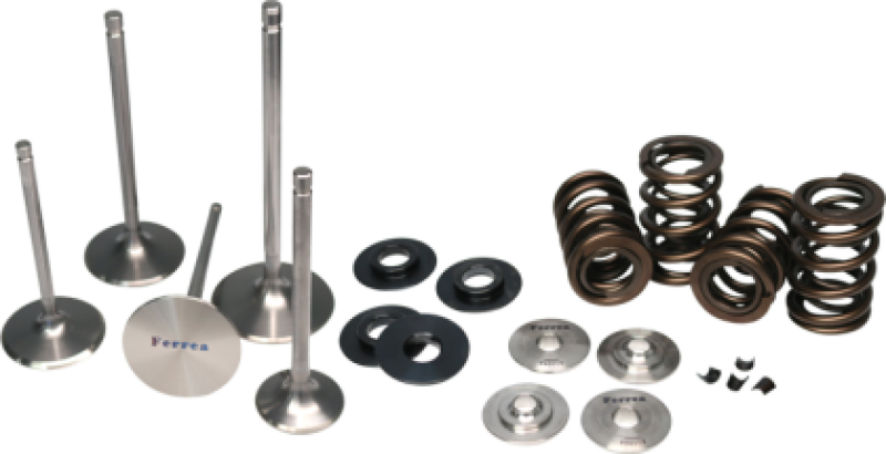 Ferrea 11-12 Polaris RZR XP900 Valve Spring Kit