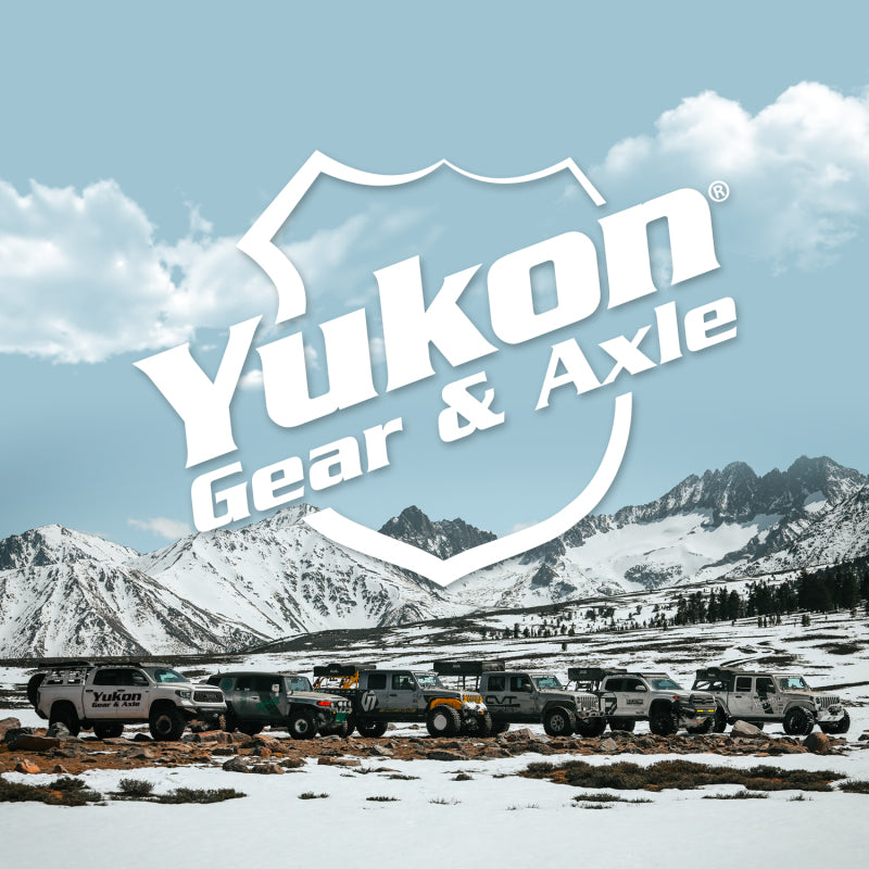 Yukon Gear 10.5in Ford 4.11 Rear Ring & Pinion Install Kit