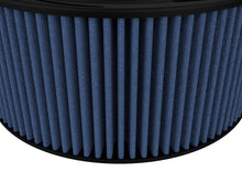 Load image into Gallery viewer, Photo - Close Up