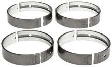 Load image into Gallery viewer, User 1