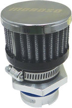 Load image into Gallery viewer, Photo - Primary