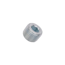 Load image into Gallery viewer, Flo Supply 1/8" NPT Plug (Zinc Plated)